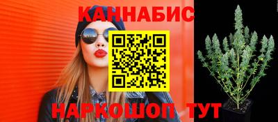 ешки Будённовск